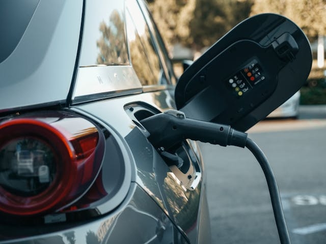 Count of Unique Electric Vehicle Makes