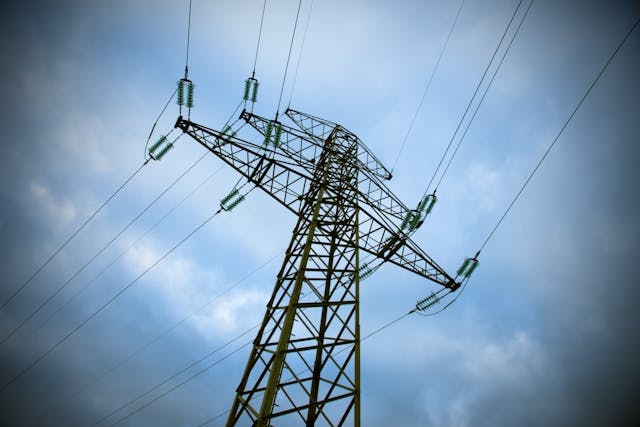 Count of Unique Electric Utility Providers